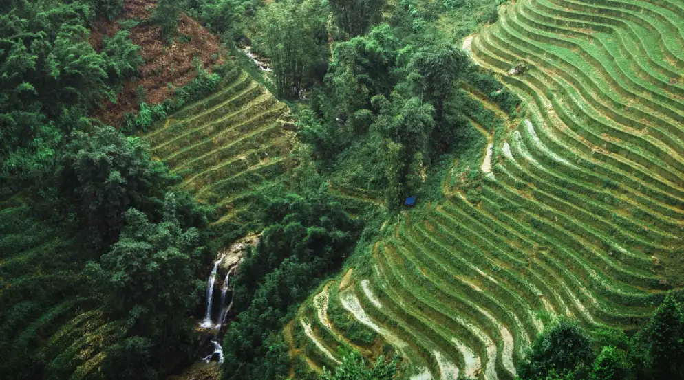 Lush green terraced rice fields cascade down a hillside, with a small waterfall nestled among dense trees at the base.