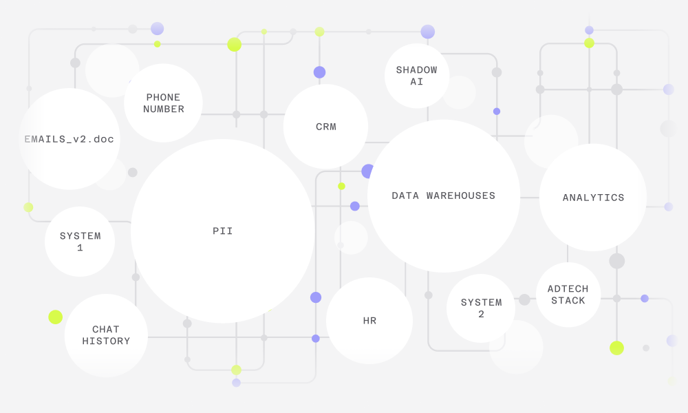 Network diagram illustrating interconnected data elements: PII, Data Warehouses, Analytics, CRM, and HR.