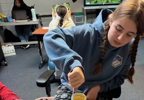 Donate to Creekside School