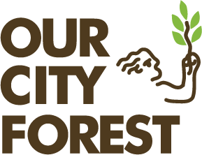 Our City Forest