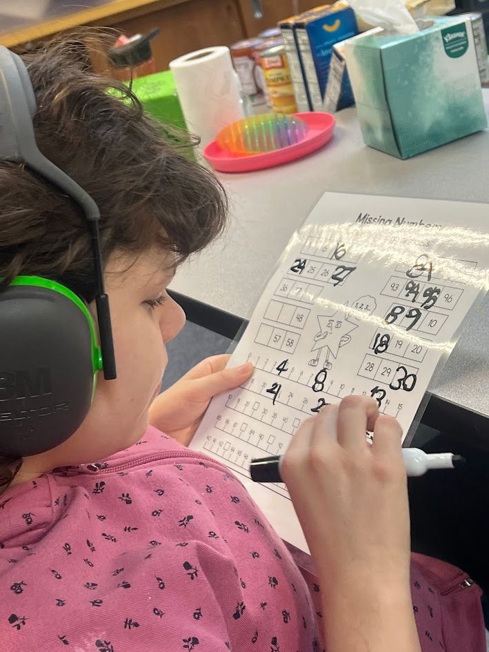 Occupational Therapy at Creekside School