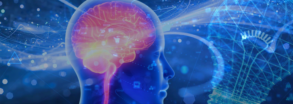 Core Intelligence: The Missing Foundation of Learning and Human Development