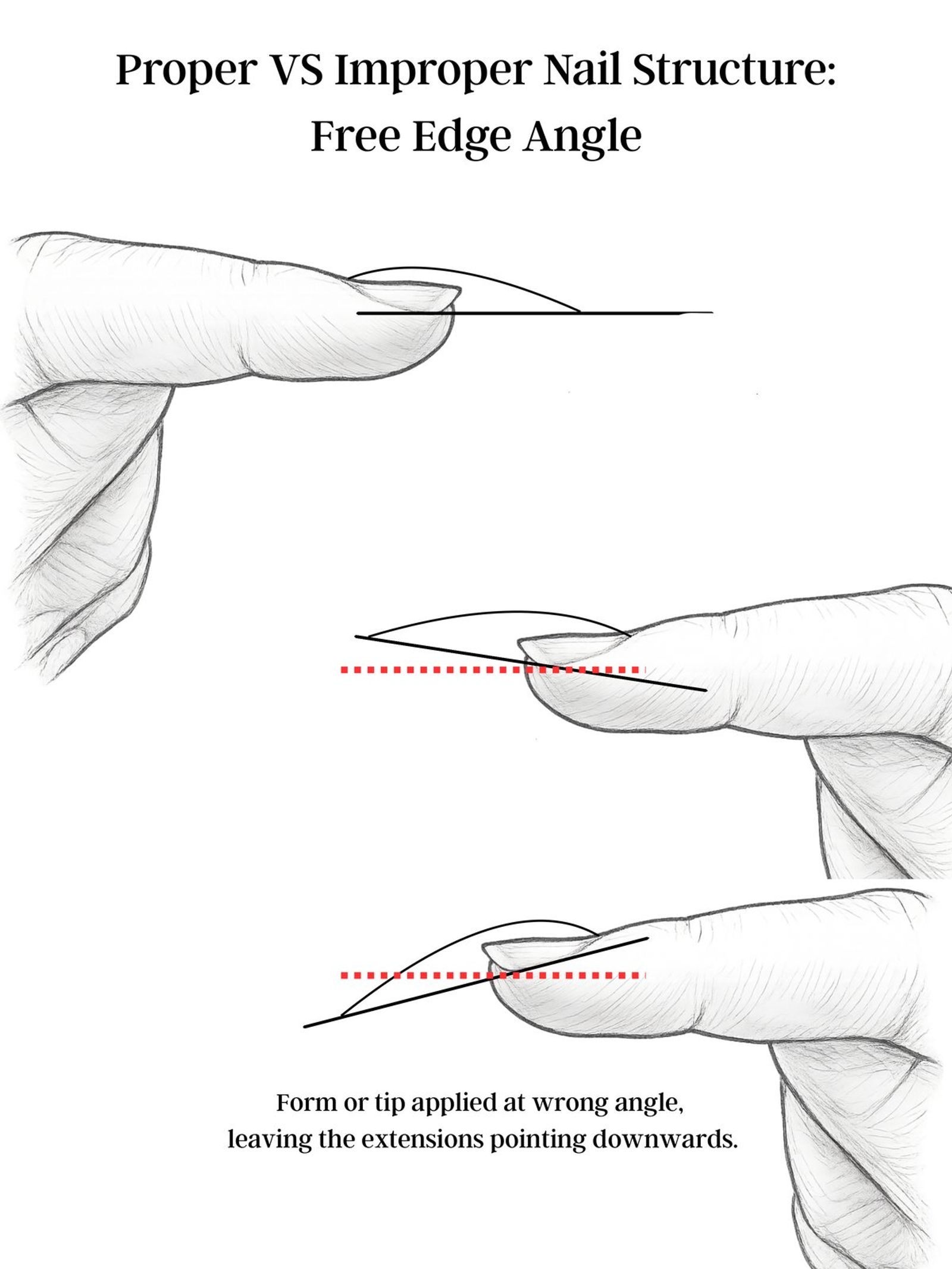 Proper vs improper free edge angle for nail extensions