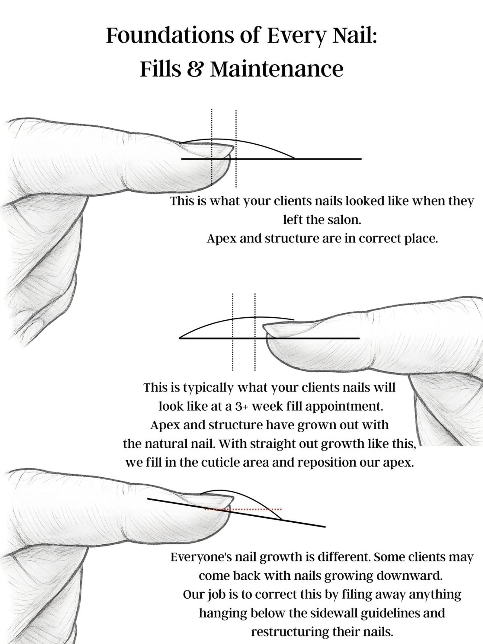 Nail fills and maintenance: how apex and structure grow out between appointments