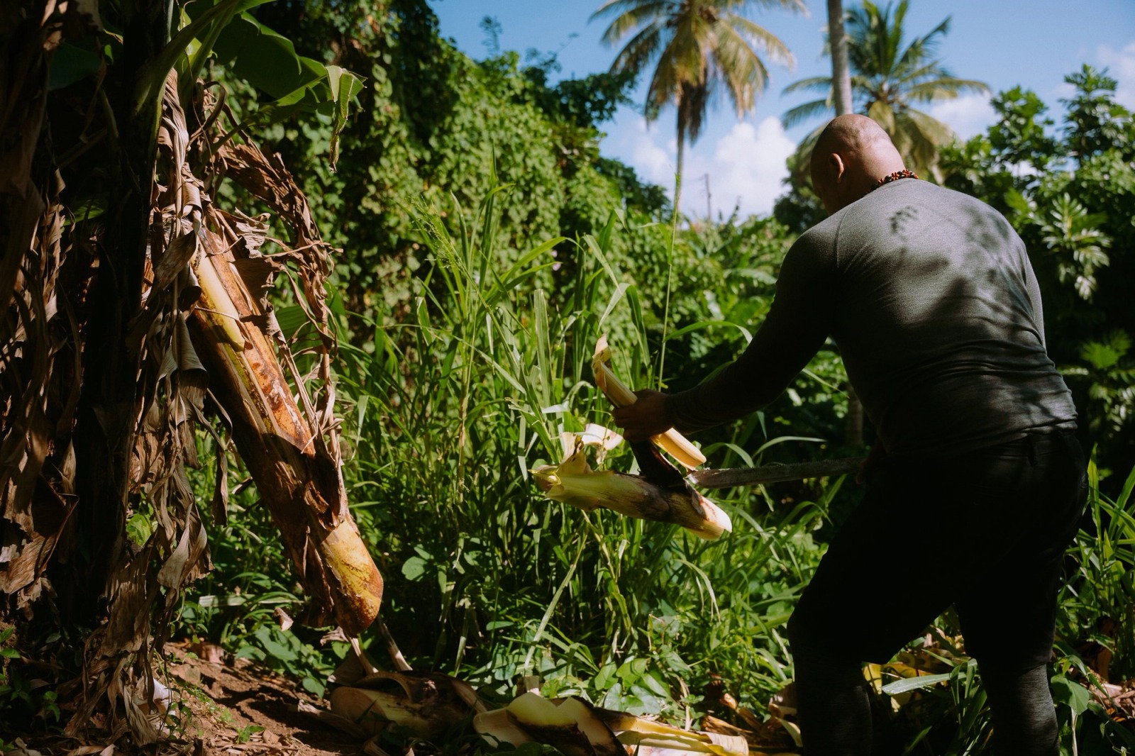 The Kalinago Dream — frame 056