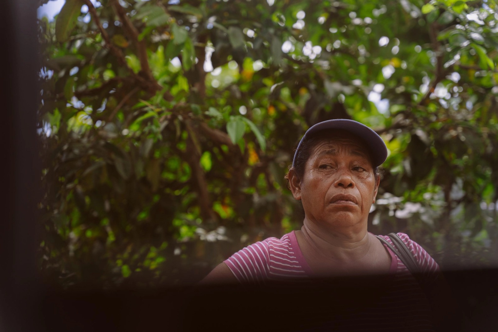 The Kalinago Dream — frame 023