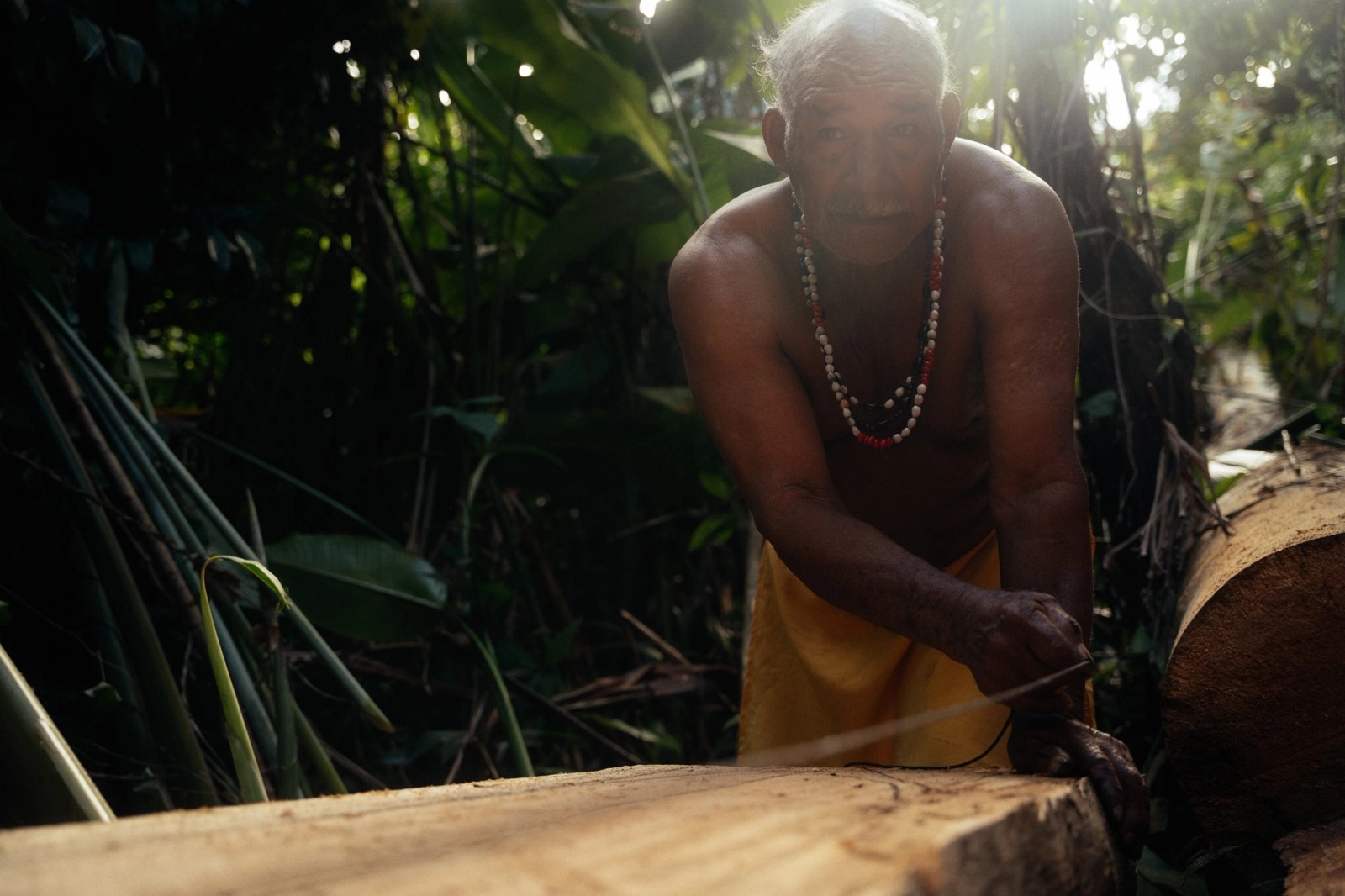 The Kalinago Dream — frame 117