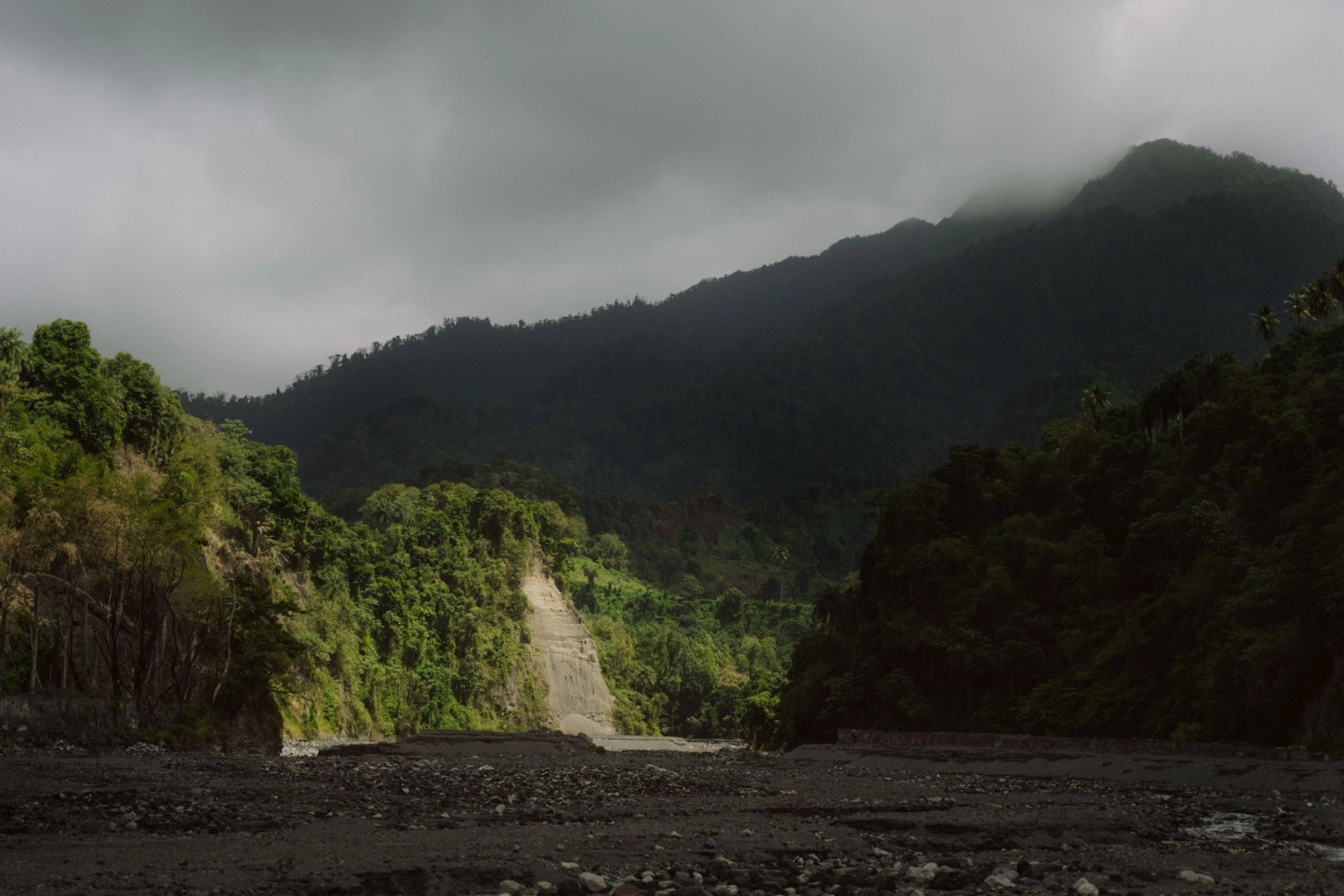 Cultivating Danger — frame 033