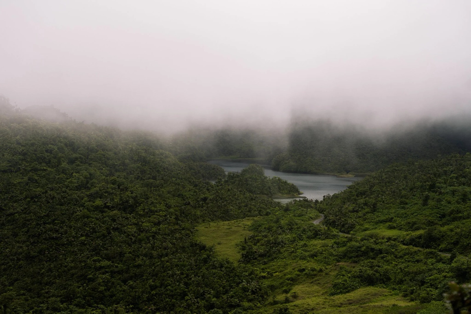 The Kalinago Dream