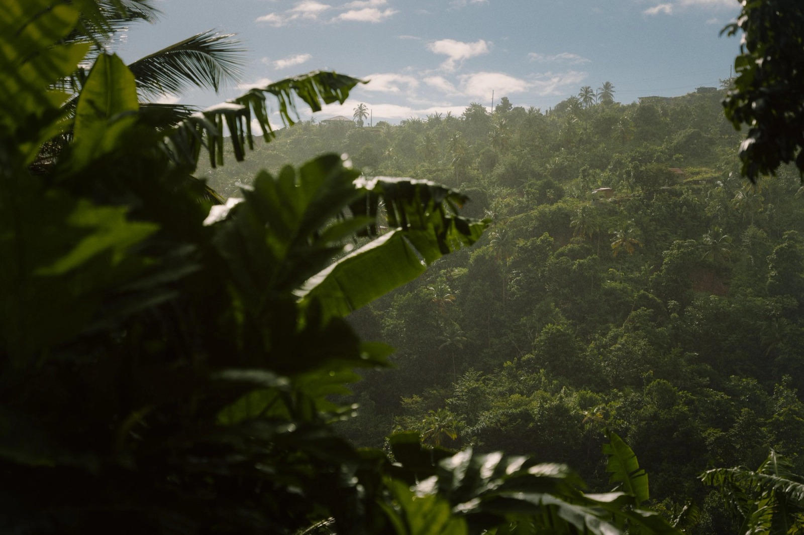 The Kalinago Dream — frame 128