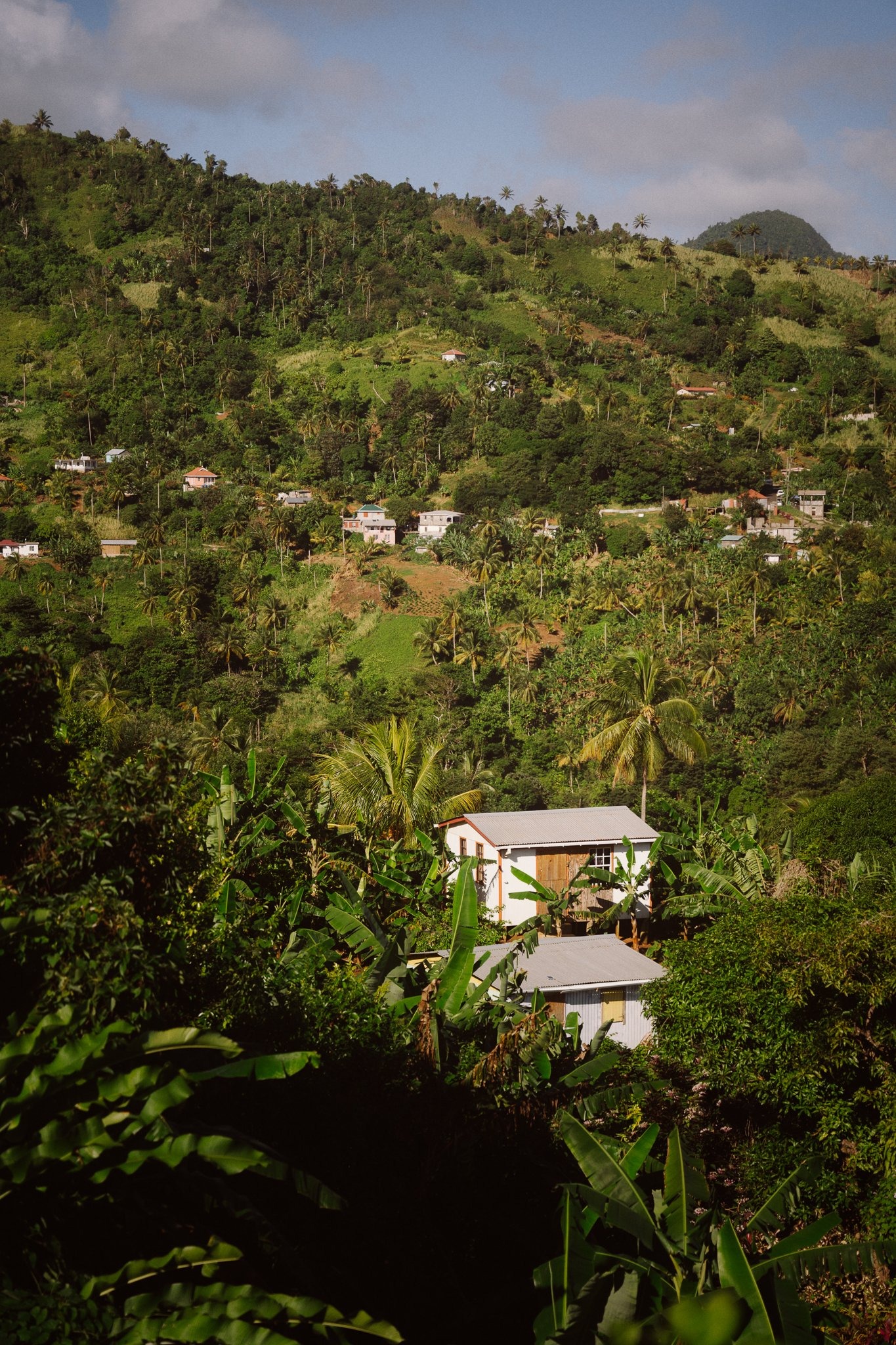 The Kalinago Dream — frame 010