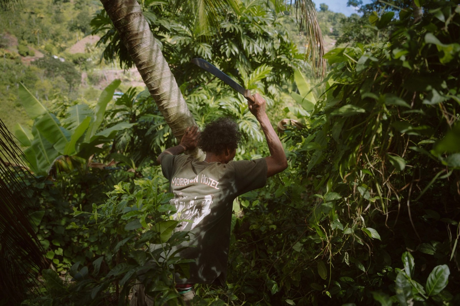 The Kalinago Dream — frame 020
