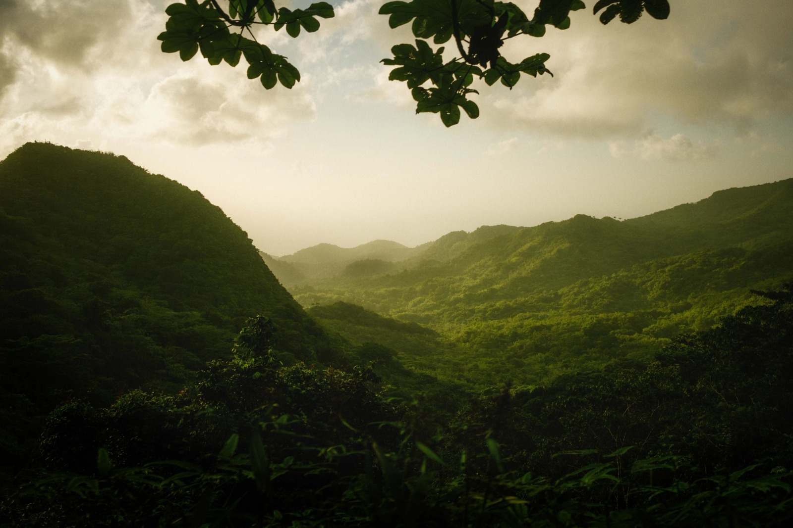 Grenada