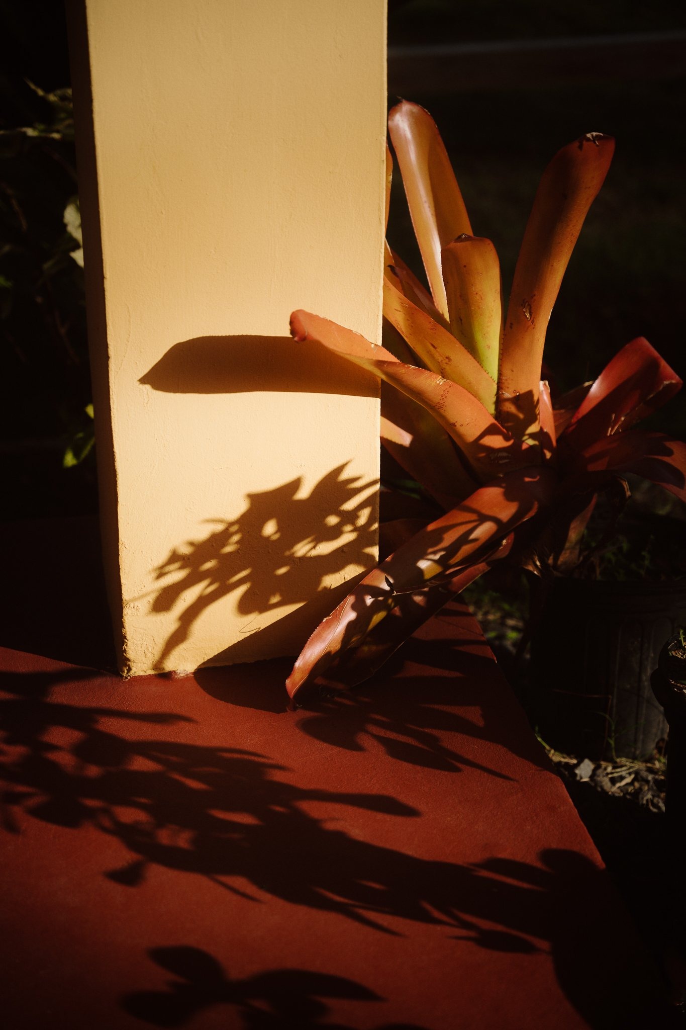 The Kalinago Dream — frame 003