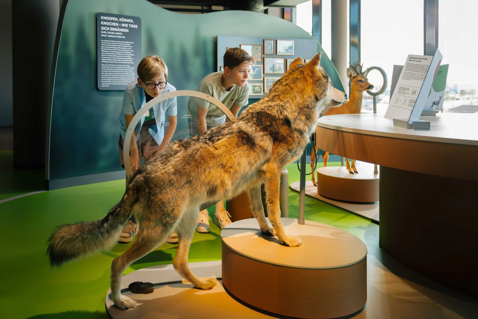 Wildtiere Hamburg — frame 02