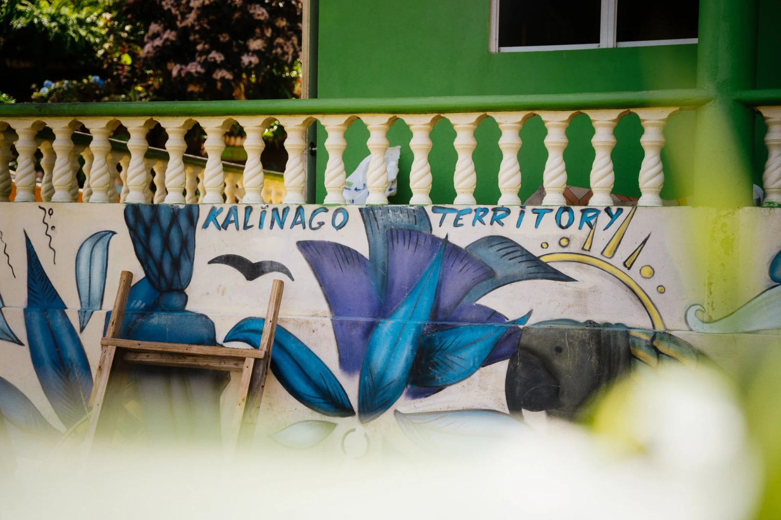 The Kalinago Dream
