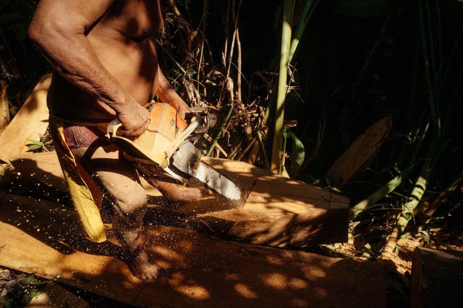 The Kalinago Dream — frame 124