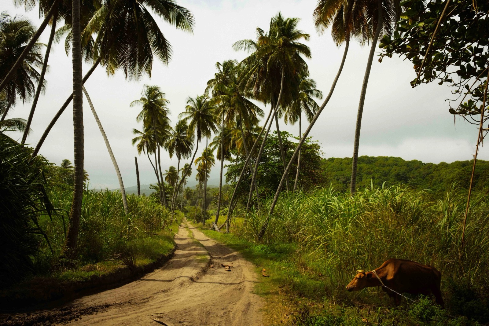 Grenada