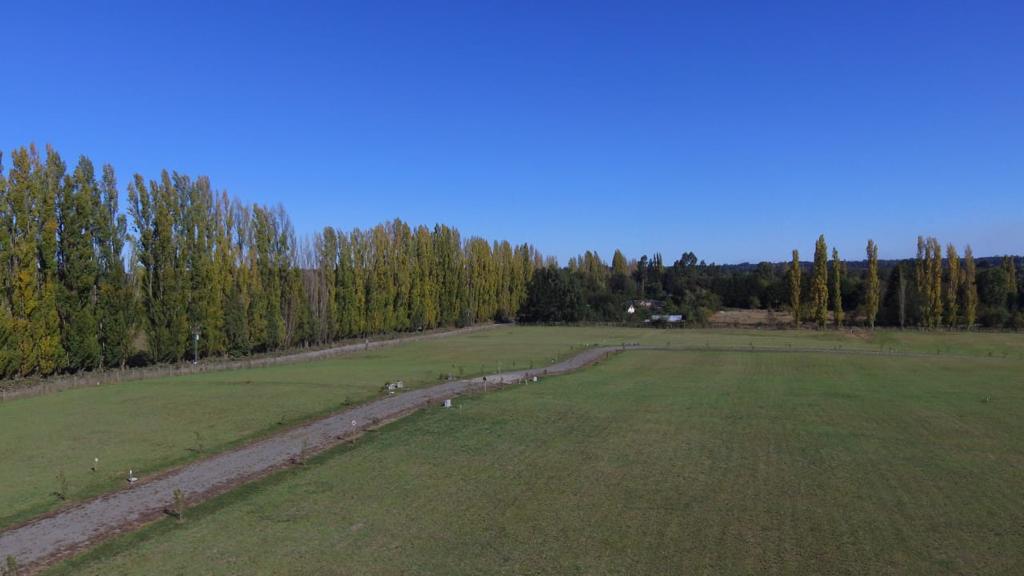 PARCELA, CONDOMINIO LOMAS DEL BOSQUE - foto 17