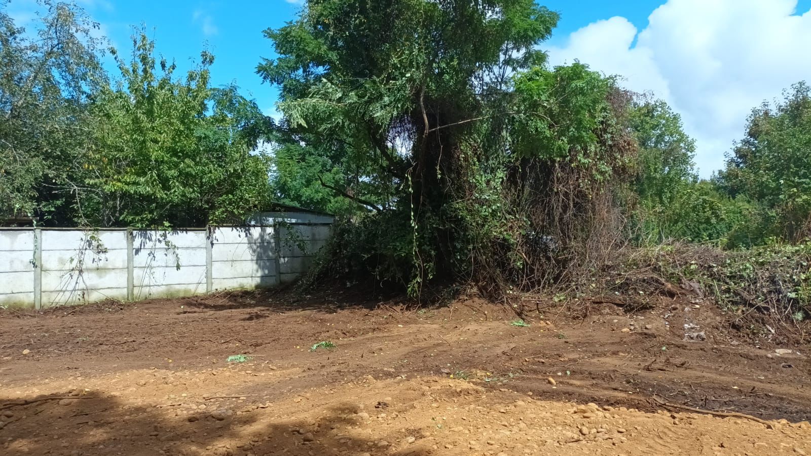 TERRENO URBANO, SECTOR CENTRO OSORNO - foto 3