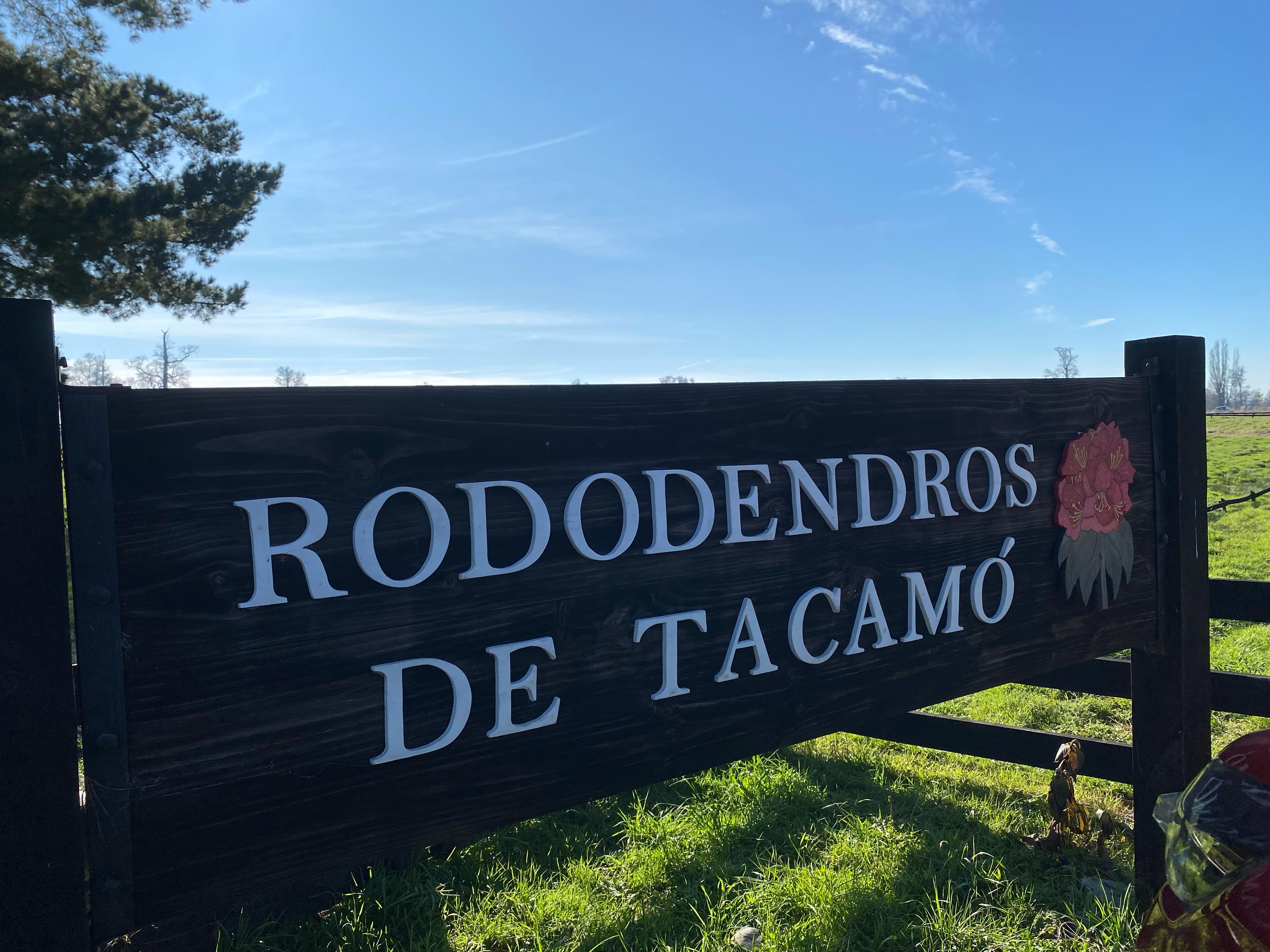 PARCELA, LOTEO RODODENDROS DE TACAMÓ - foto 9