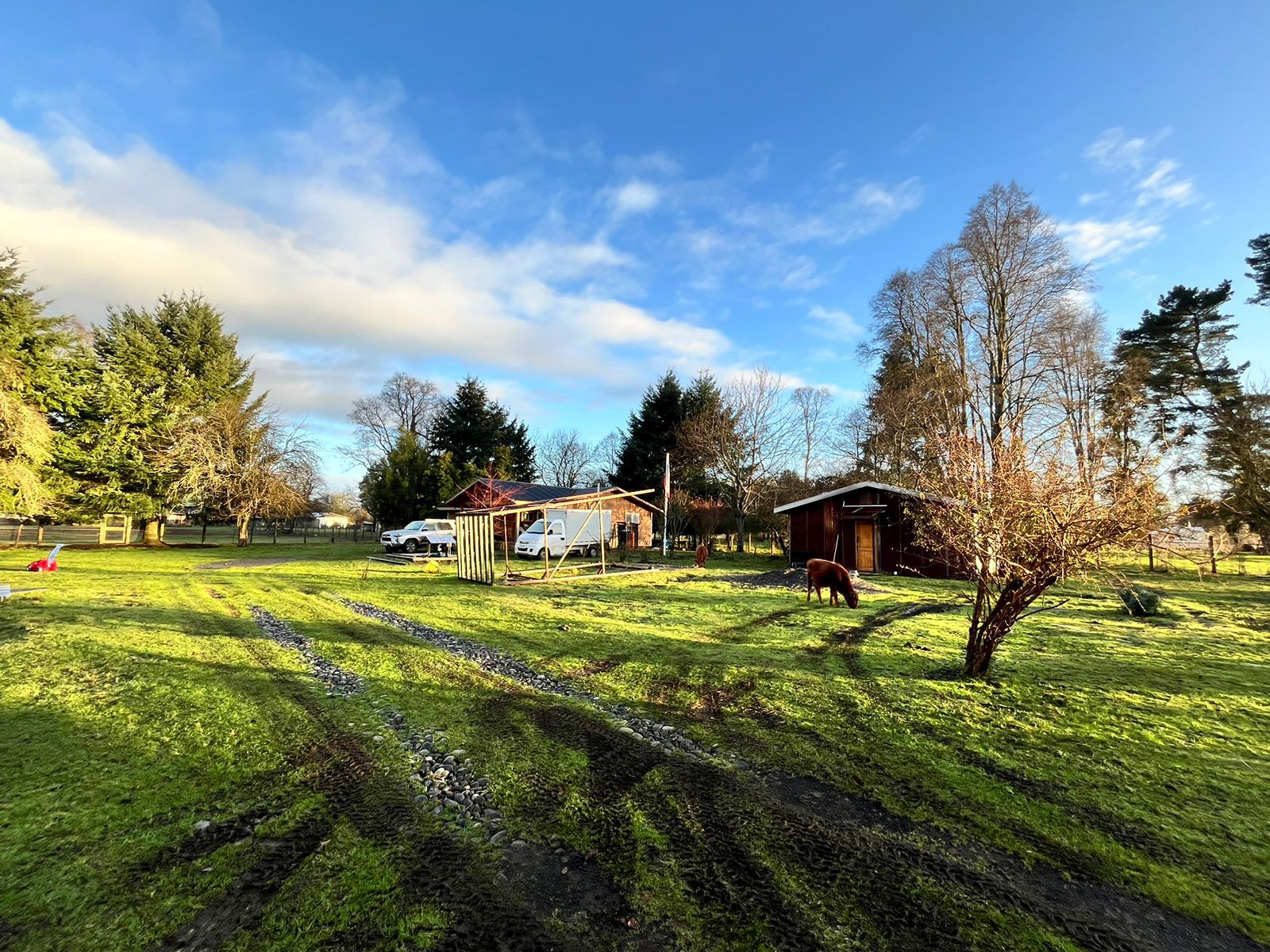 TERRENO AGRÍCOLA, CASA Y GALPÓN