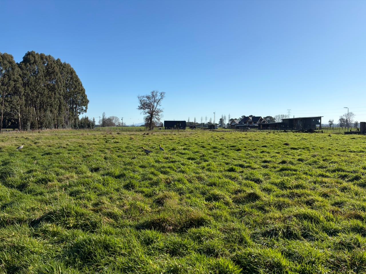 PARCELA - GRANEROS DE PILAUCO IV - foto 12
