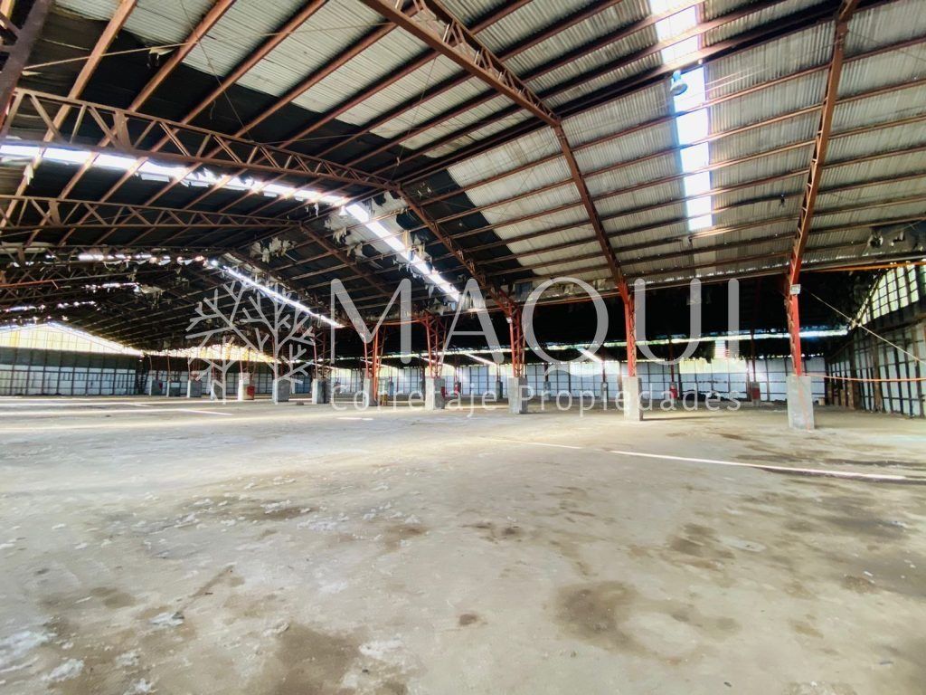 BODEGA, AVENIDA PADRE HURTADO. RIO NEGRO - foto 8