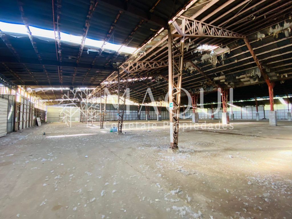 BODEGA, AVENIDA PADRE HURTADO. RIO NEGRO - foto 11