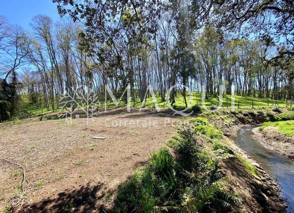 PARCELA, LOTEO SENDEROS DE PILAUCO