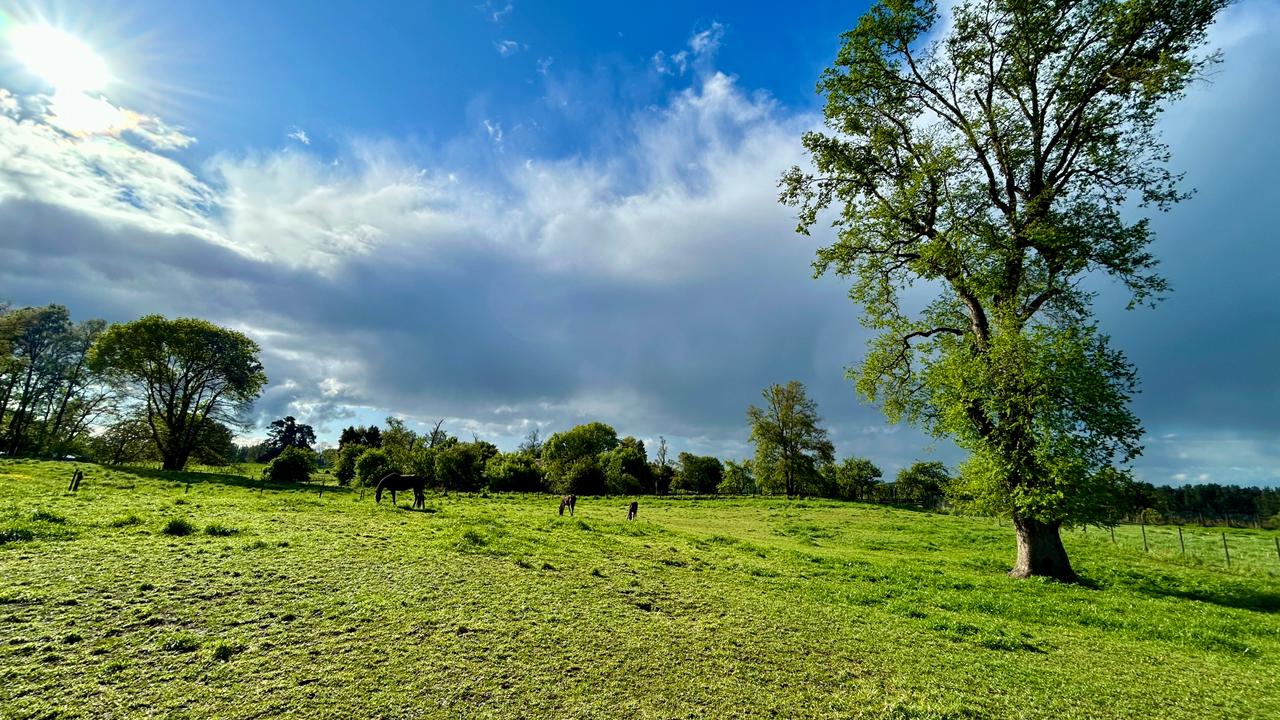 PARCELA, LOTEO TERRAZAS DE TACAMÓ - foto 5
