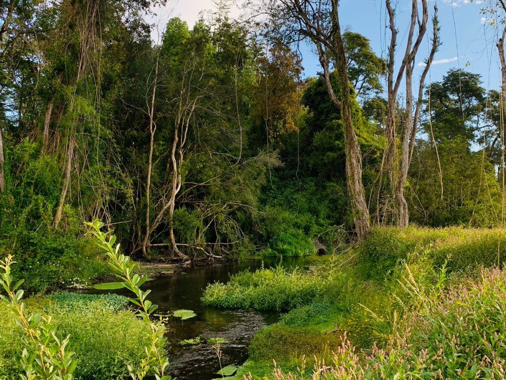 PARCELAS, LOTEO ENTRE RIOS