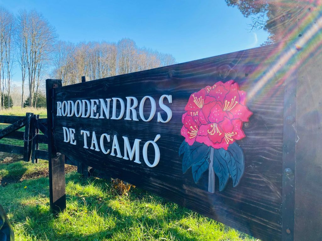 PARCELA, LOTEO RODODENDROS DE TACAMÓ