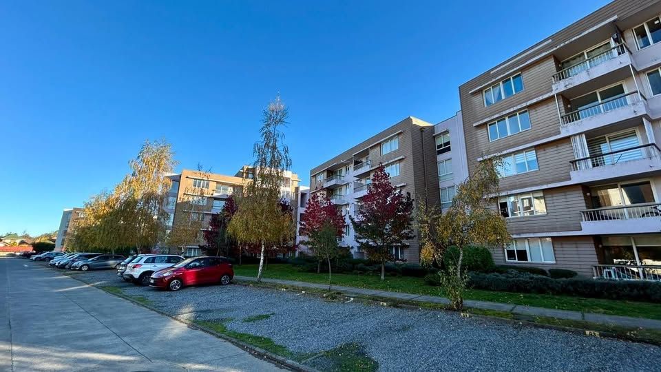 DEPARTAMENTO - CONDOMINIO LOS ROBLES - foto 26
