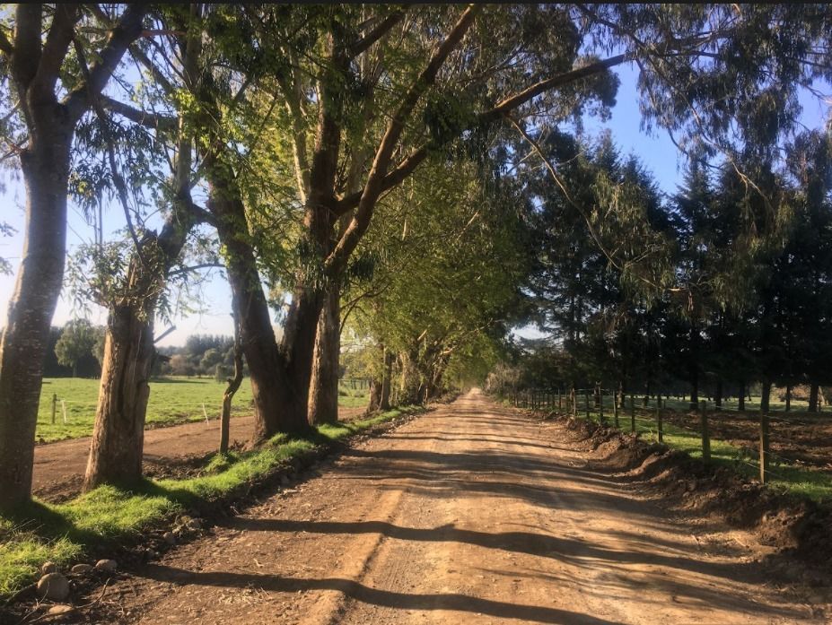 PARCELA, LOTEO LADERAS DE RUPANCO - foto 6