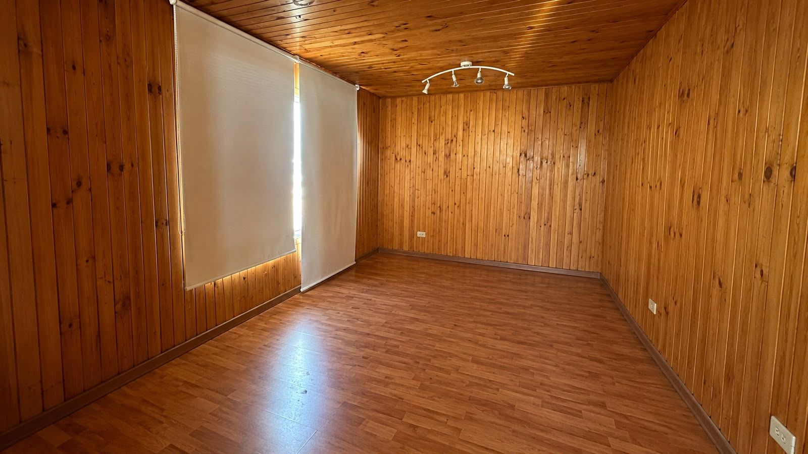 SITIO INDUSTRIAL - CAÑAL BAJO - foto 12