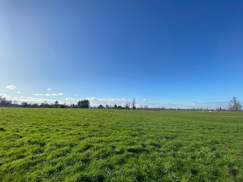 PARCELAS, LOTEO ENTRE RIOS - foto 3