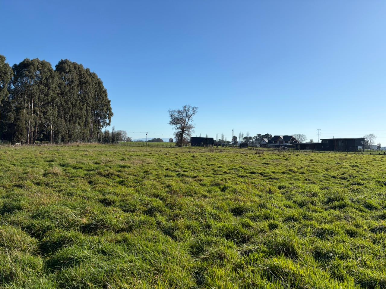 PARCELA - GRANEROS DE PILAUCO IV - foto 16