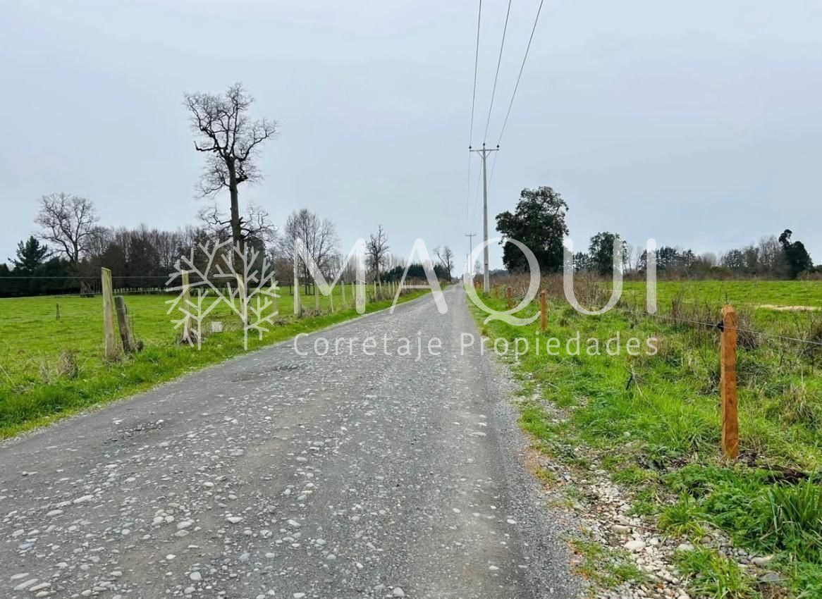 PARCELA, LOTEO RIO DAMAS TACAMÓ - foto 3