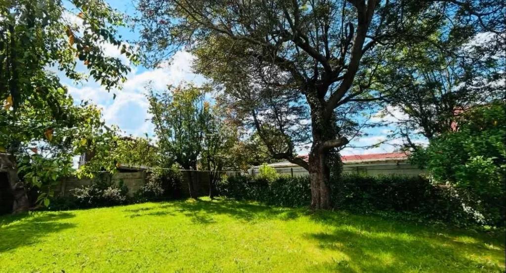 CASA CON POTENCIAL COMERCIAL, CALLE DR. MONTESINOS - foto 9