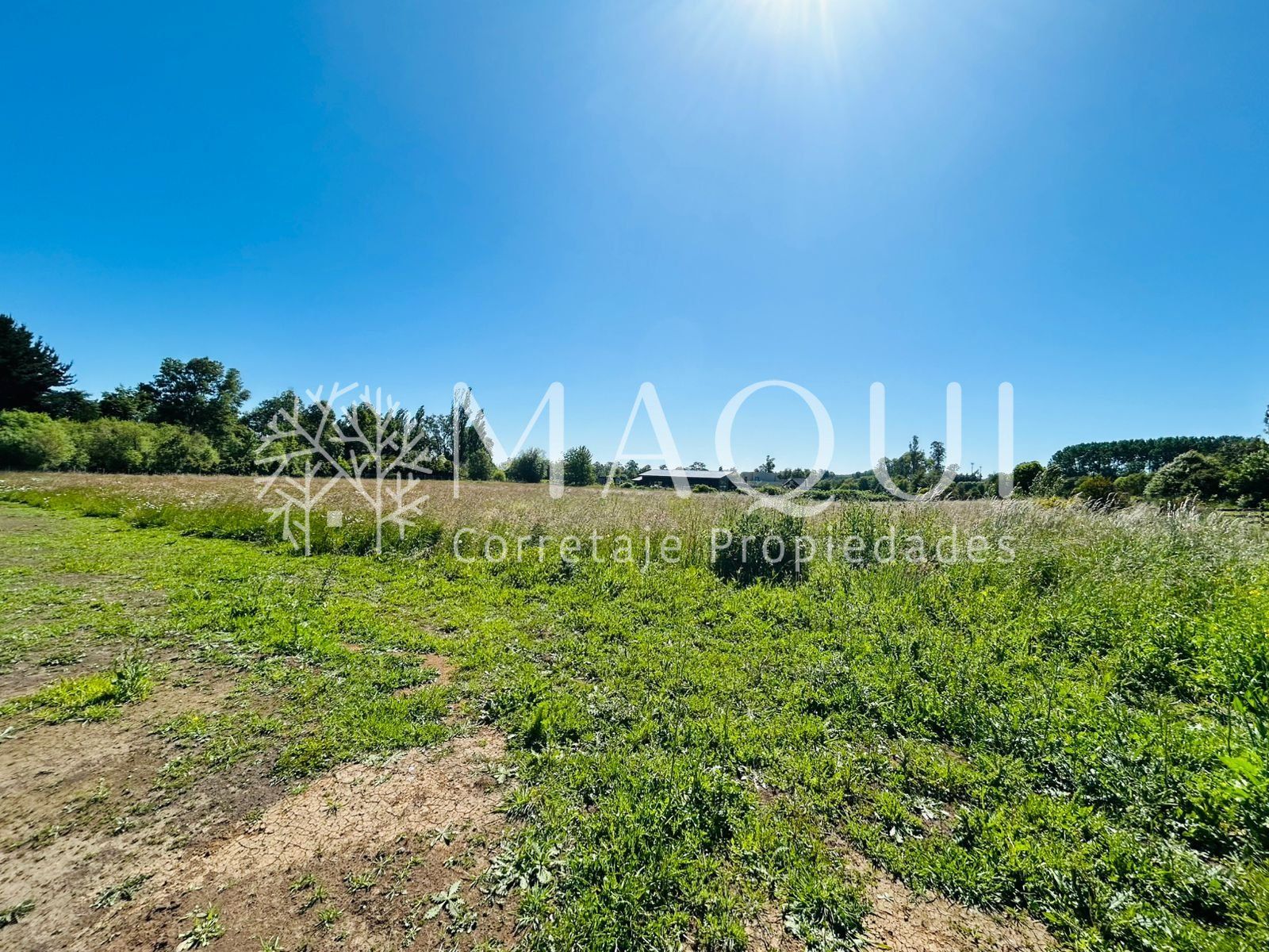 PARCELA, CONDOMINIO LOMAS DEL BOSQUE - foto 3