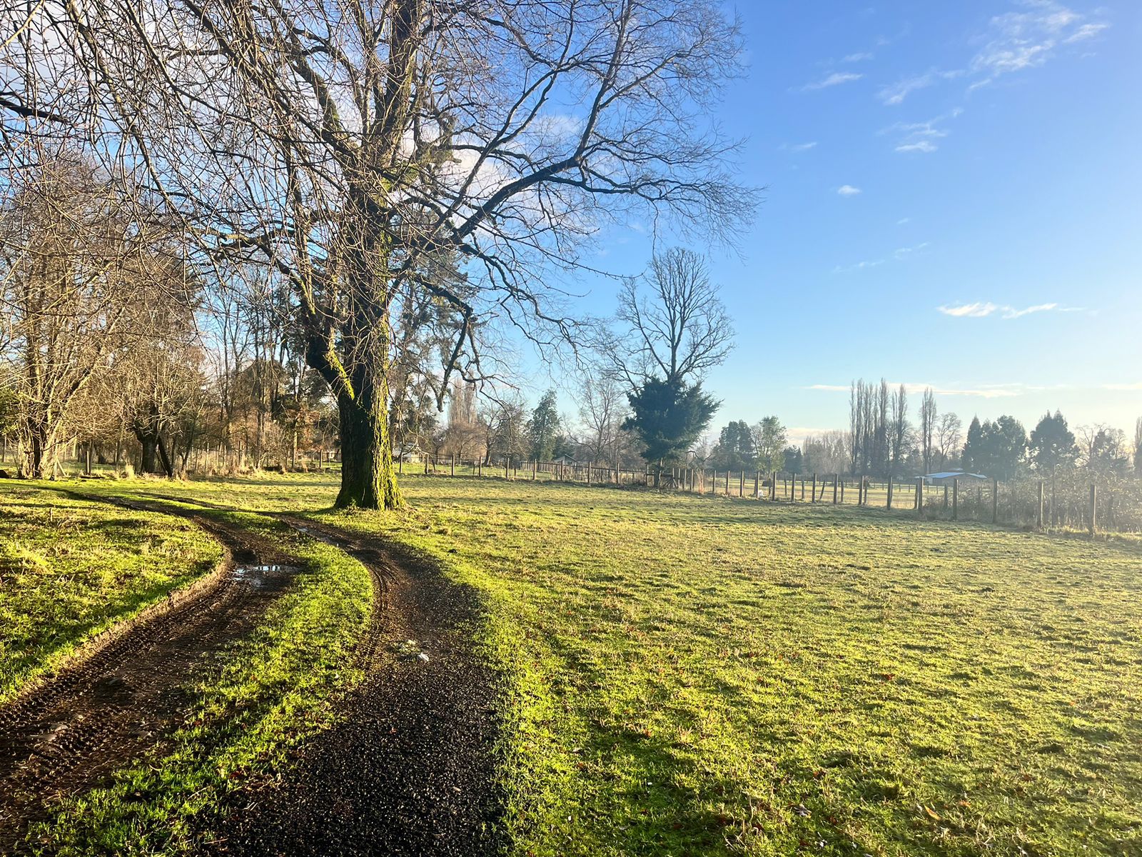 TERRENO AGRÍCOLA, CASA Y GALPÓN - foto 11