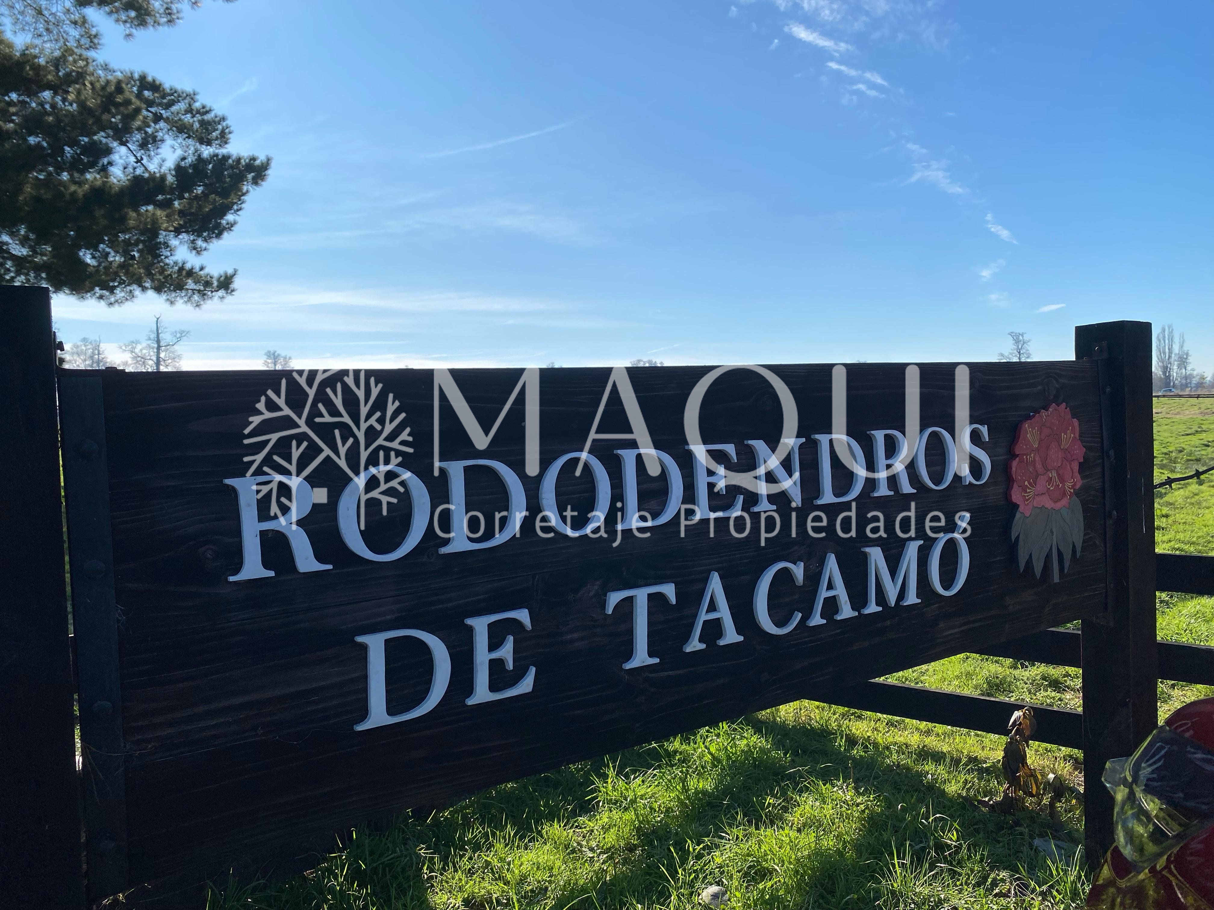 PARCELA, LOTEO RODODENDROS DE TACAMÓ - foto 10