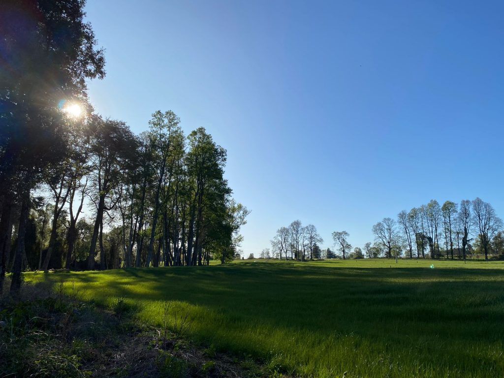 PARCELAS, LOTEO ENTRE RIOS - foto 5