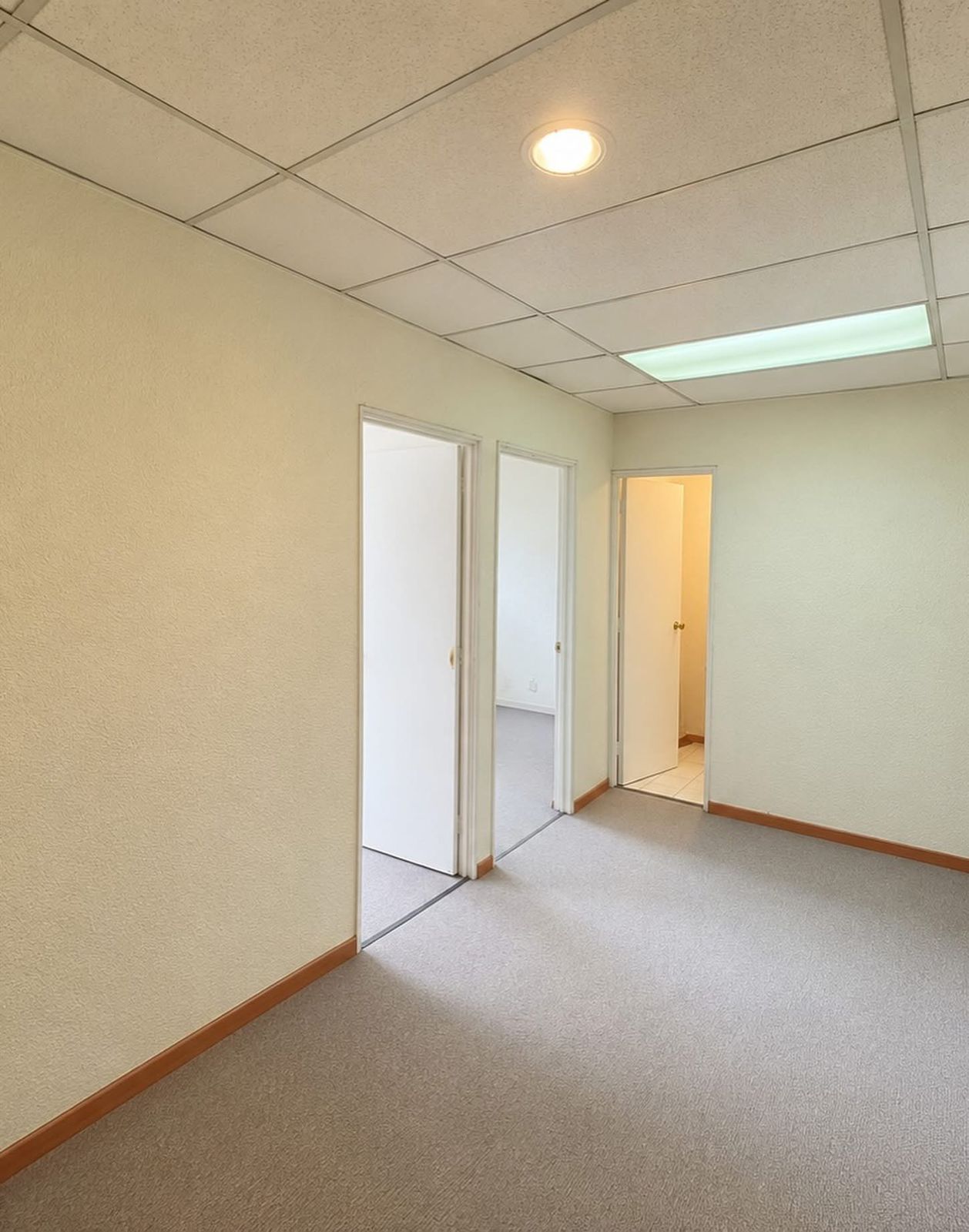 OFICINA - PLAZA GERMANIA - foto 2