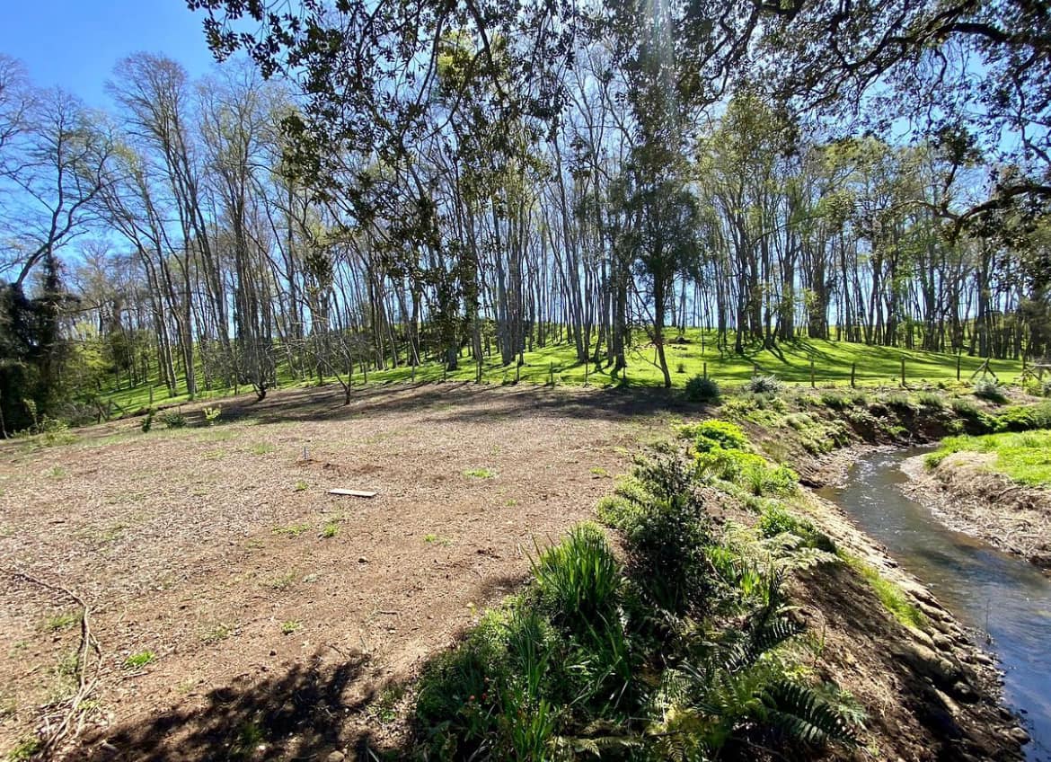 PARCELA, LOTEO SENDEROS DE PILAUCO