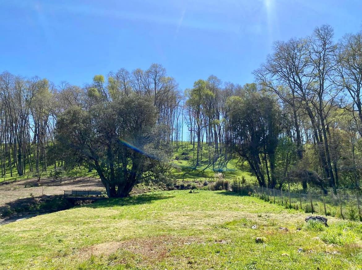 PARCELA, LOTEO SENDEROS DE PILAUCO - foto 9