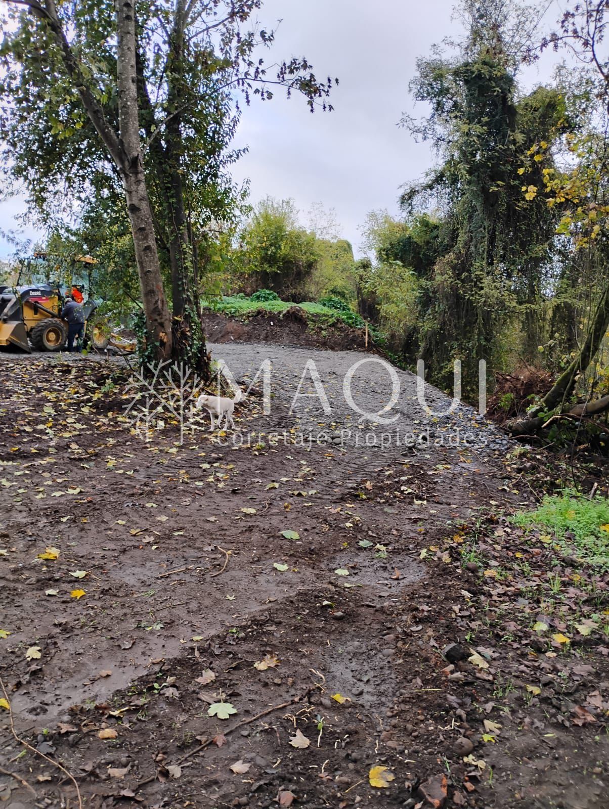 TERRENO URBANO, SECTOR CENTRO OSORNO - foto 9