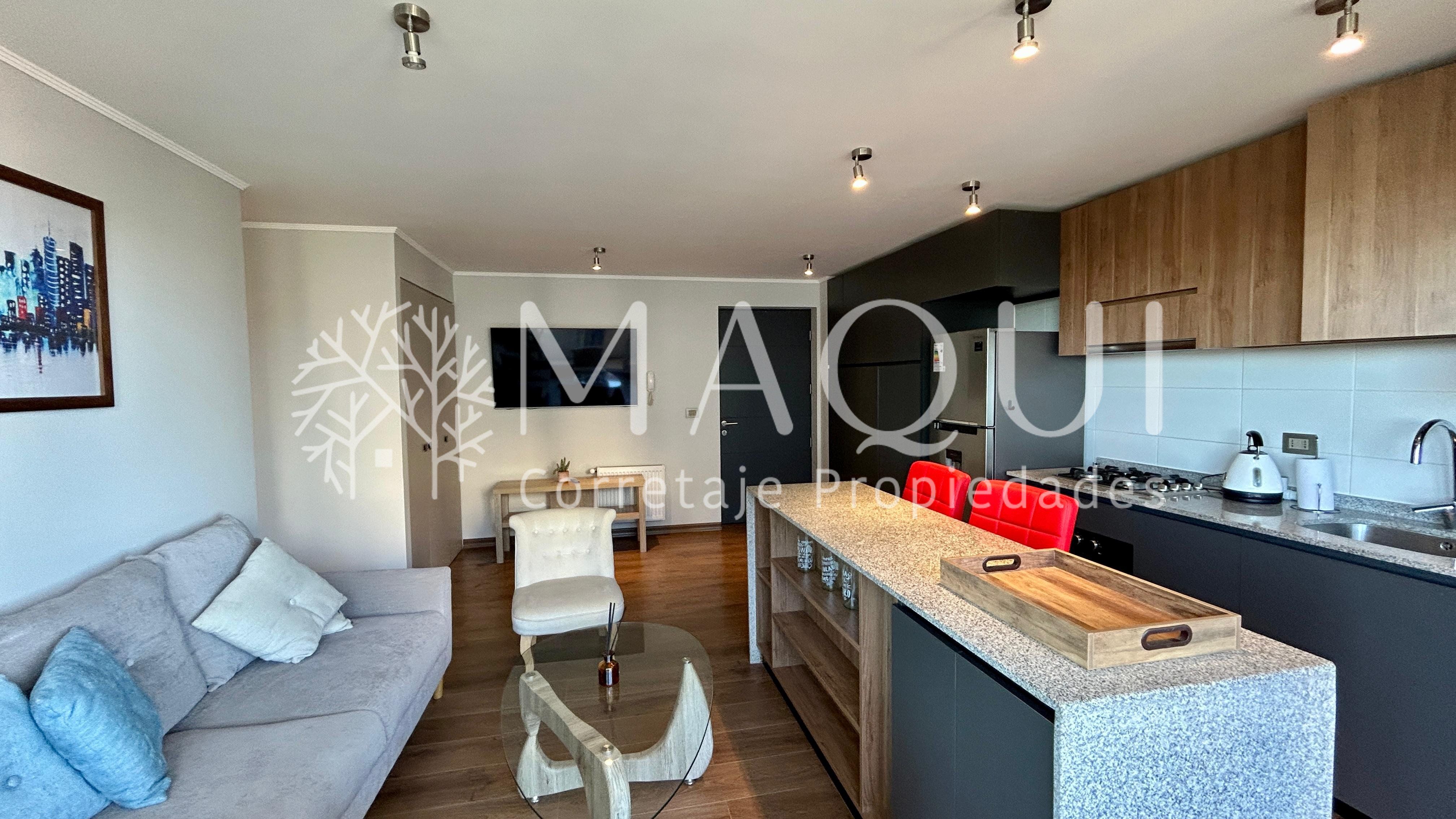 DEPARTAMENTO AMOBLADO, CONDOMINIO PARQUE FRANCIA - foto 5
