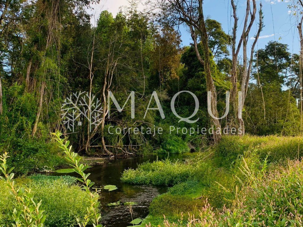 PARCELAS, LOTEO ENTRE RIOS - foto 2